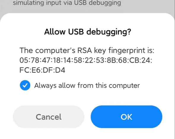 USB Prompt