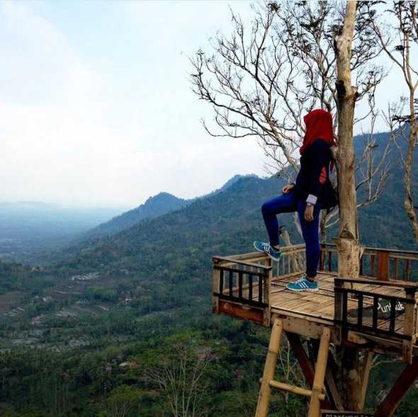 Rumah Pohon Punthuk Mongkrong. ig: @arnijuliawati