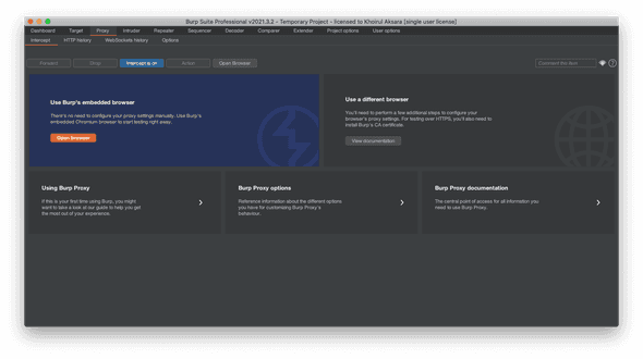Burp Embedded Browser